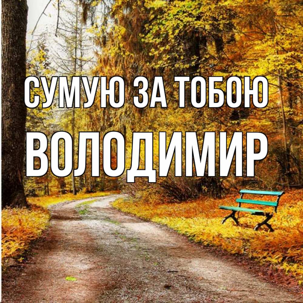 Открытка на каждый день з підписом, Володимир Сумую за тобою зеленая лавочка и осенний лес Прикольна листівка з побажанням онлайн скачати безкоштовно 