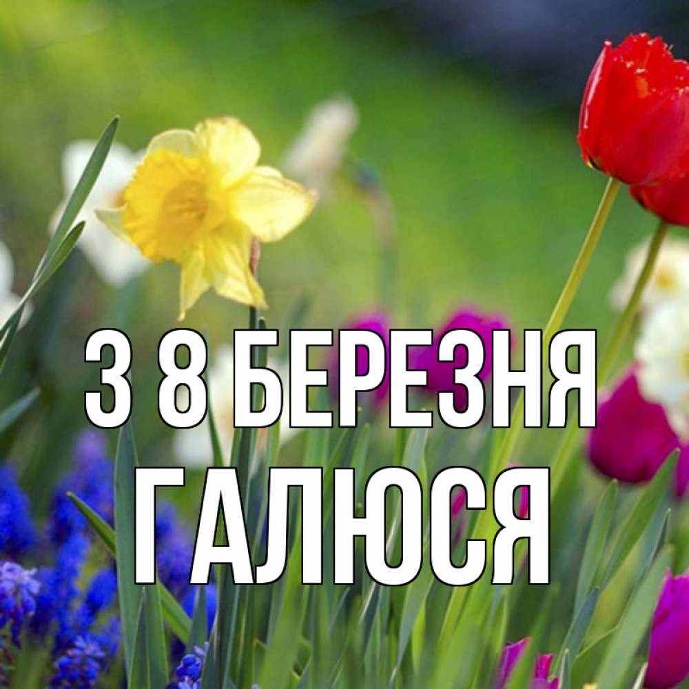 Открытка на каждый день з підписом, Галюся З 8 БЕРЕЗНЯ международный женский день 3 Прикольна листівка з побажанням онлайн скачати безкоштовно 