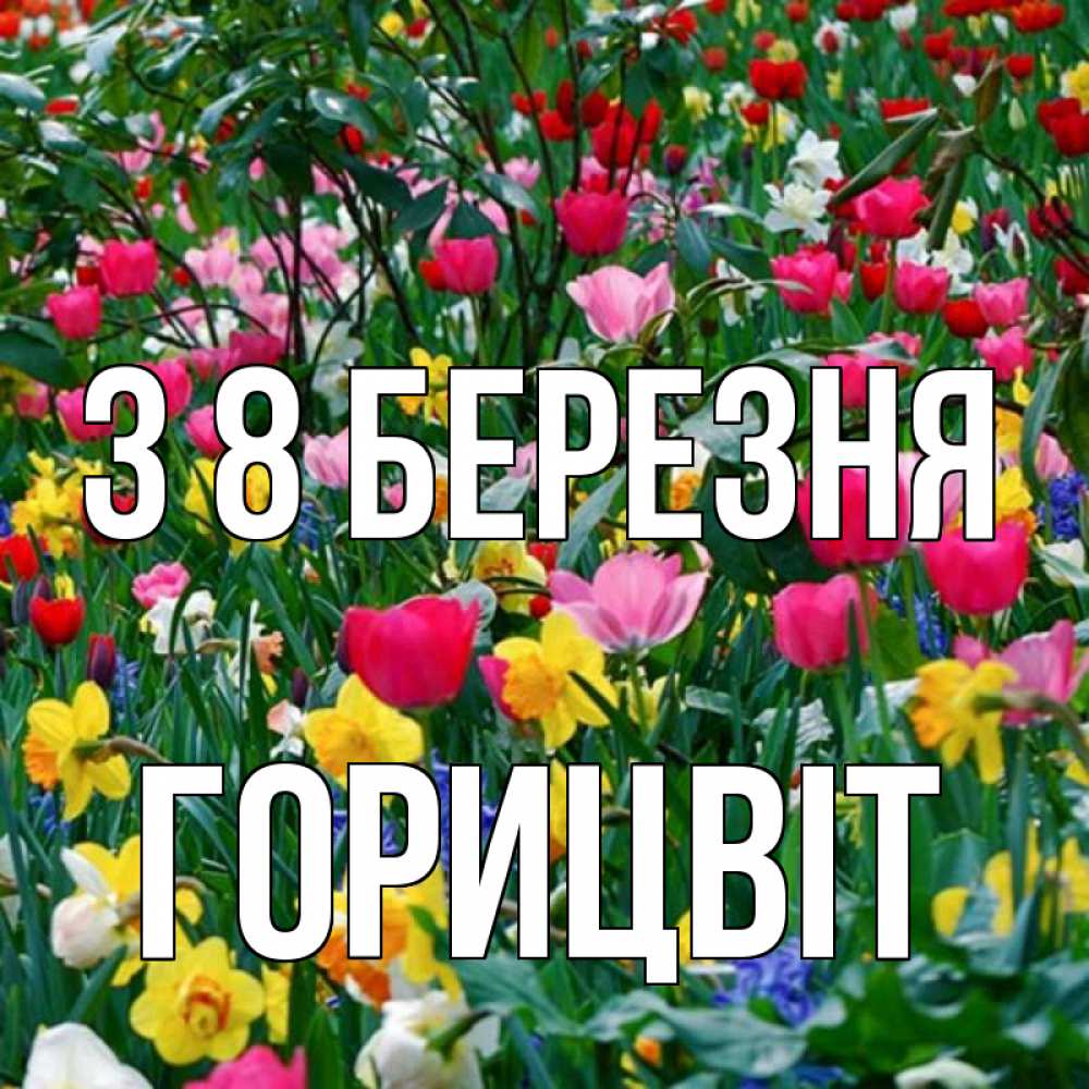 Открытка на каждый день з підписом, Горицвіт З 8 БЕРЕЗНЯ с международным женским днем поздравления для женщины Прикольна листівка з побажанням онлайн скачати безкоштовно 