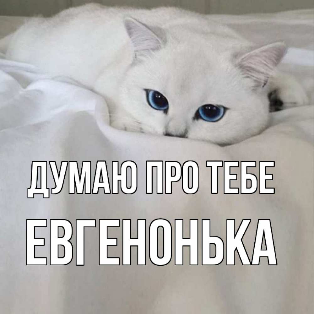 Открытка на каждый день з підписом, Евгенонька Думаю про тебе я очень по тебе скучаю и тоскую Прикольна листівка з побажанням онлайн скачати безкоштовно 