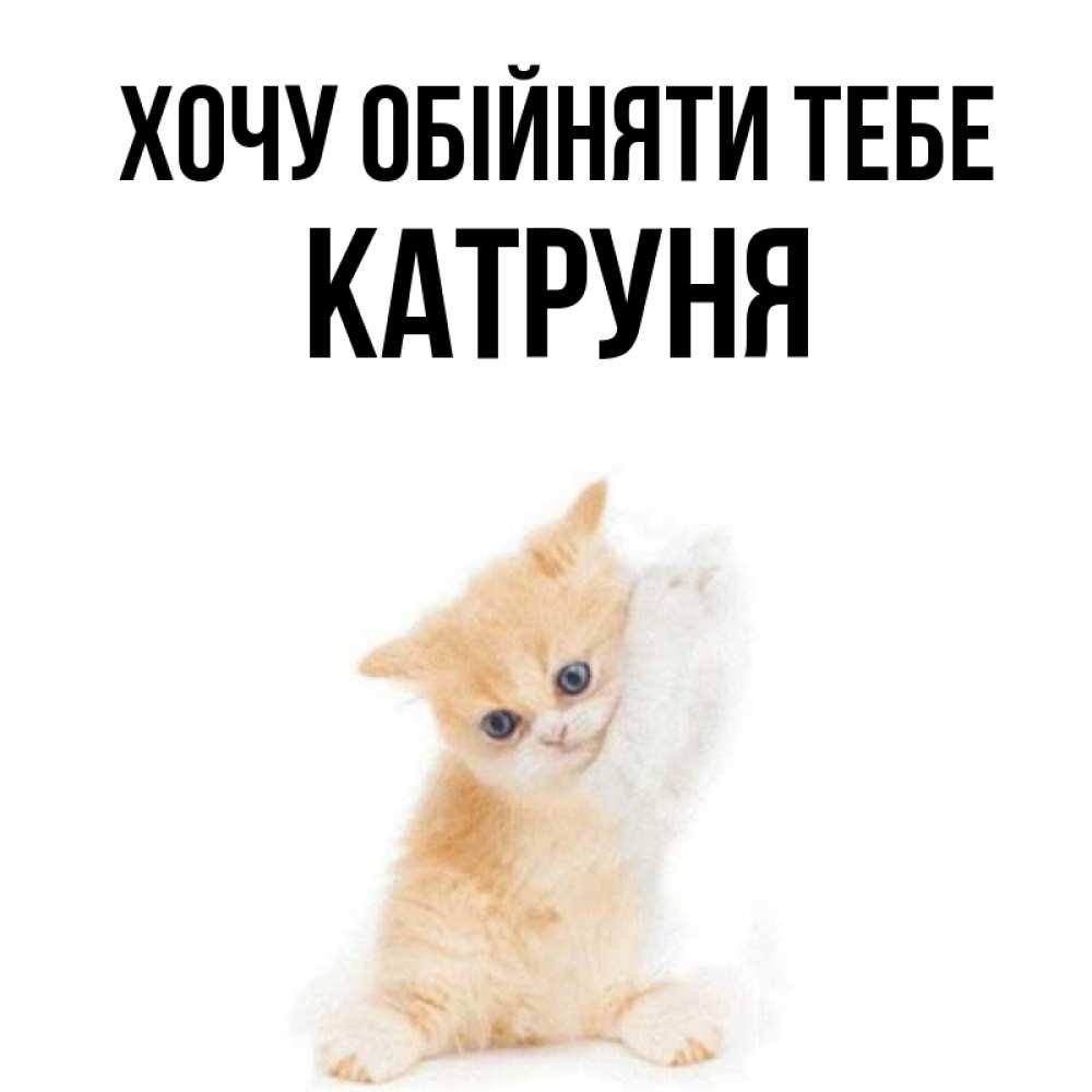 Открытка на каждый день з підписом, Катруня Хочу обійняти тебе я хочу очень скорее обнимаешек Прикольна листівка з побажанням онлайн скачати безкоштовно 