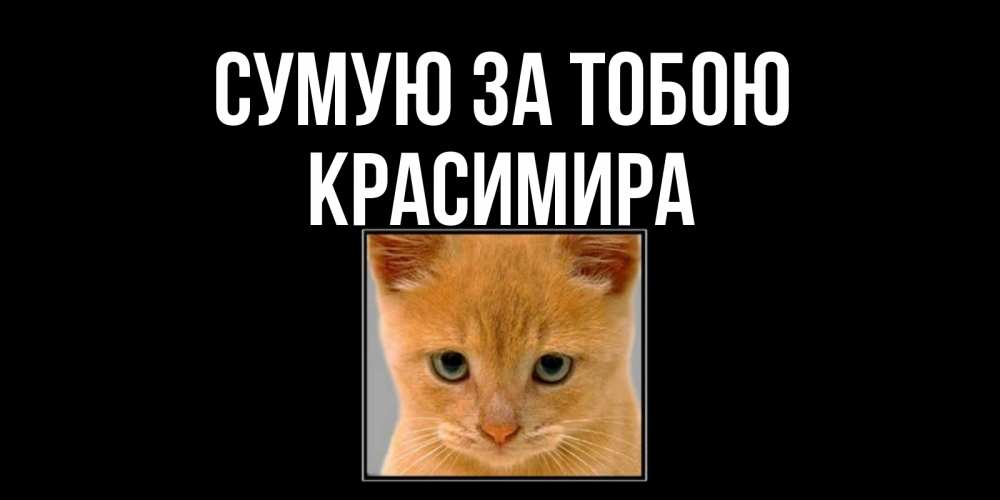 Открытка на каждый день з підписом, Красимира Сумую за тобою открытки рыжий котенок скучает по тебе Прикольна листівка з побажанням онлайн скачати безкоштовно 