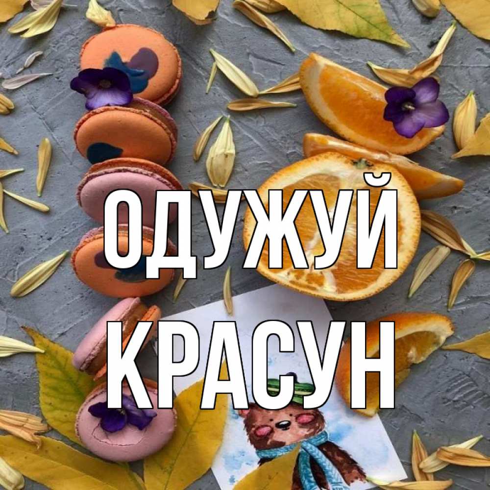 Открытка на каждый день з підписом, Красун Одужуй не болейте Прикольна листівка з побажанням онлайн скачати безкоштовно 