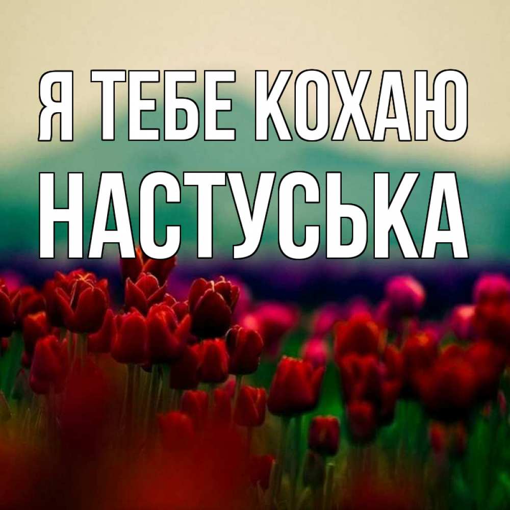 Открытка на каждый день з підписом, Настуська Я тебе кохаю тюльпаны 4 Прикольна листівка з побажанням онлайн скачати безкоштовно 