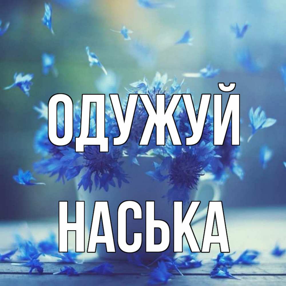 Открытка на каждый день з підписом, Наська Одужуй кружка с зельем и цветами Прикольна листівка з побажанням онлайн скачати безкоштовно 