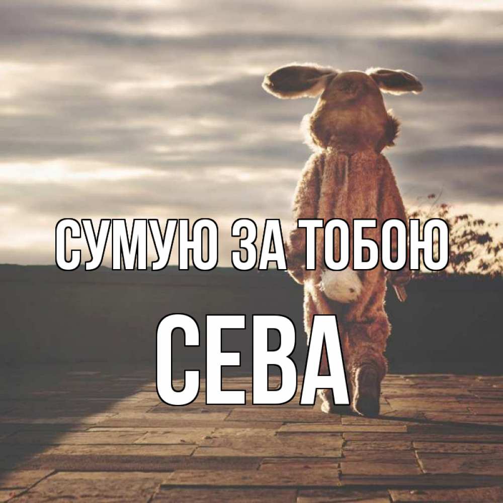 Открытка на каждый день з підписом, Сева Сумую за тобою даже в костюме зайца Прикольна листівка з побажанням онлайн скачати безкоштовно 