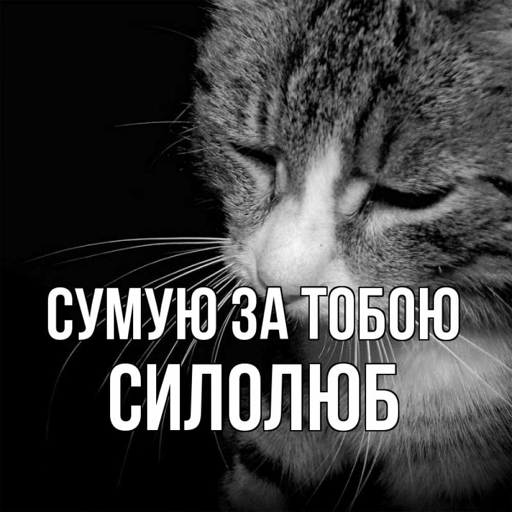 Открытка на каждый день з підписом, Силолюб Сумую за тобою мне скучно Прикольна листівка з побажанням онлайн скачати безкоштовно 