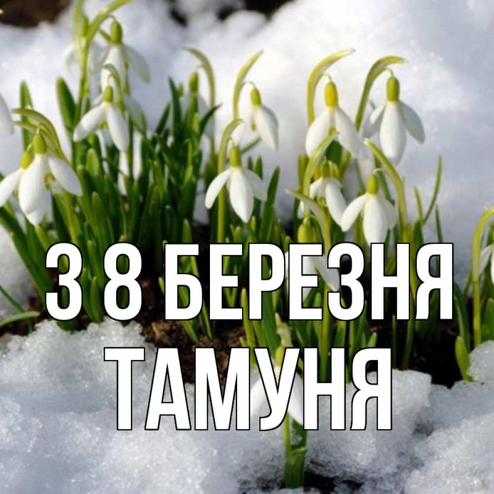 Открытка на каждый день з підписом, Тамуня З 8 БЕРЕЗНЯ цветы весенние Прикольна листівка з побажанням онлайн скачати безкоштовно 