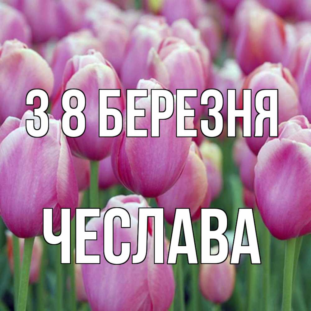 Открытка на каждый день з підписом, Чеслава З 8 БЕРЕЗНЯ на международный женский день 3 Прикольна листівка з побажанням онлайн скачати безкоштовно 