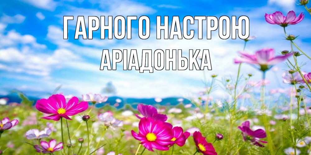 Открытка на каждый день з підписом, Аріадонька Гарного настрою поле цветов Прикольна листівка з побажанням онлайн скачати безкоштовно 