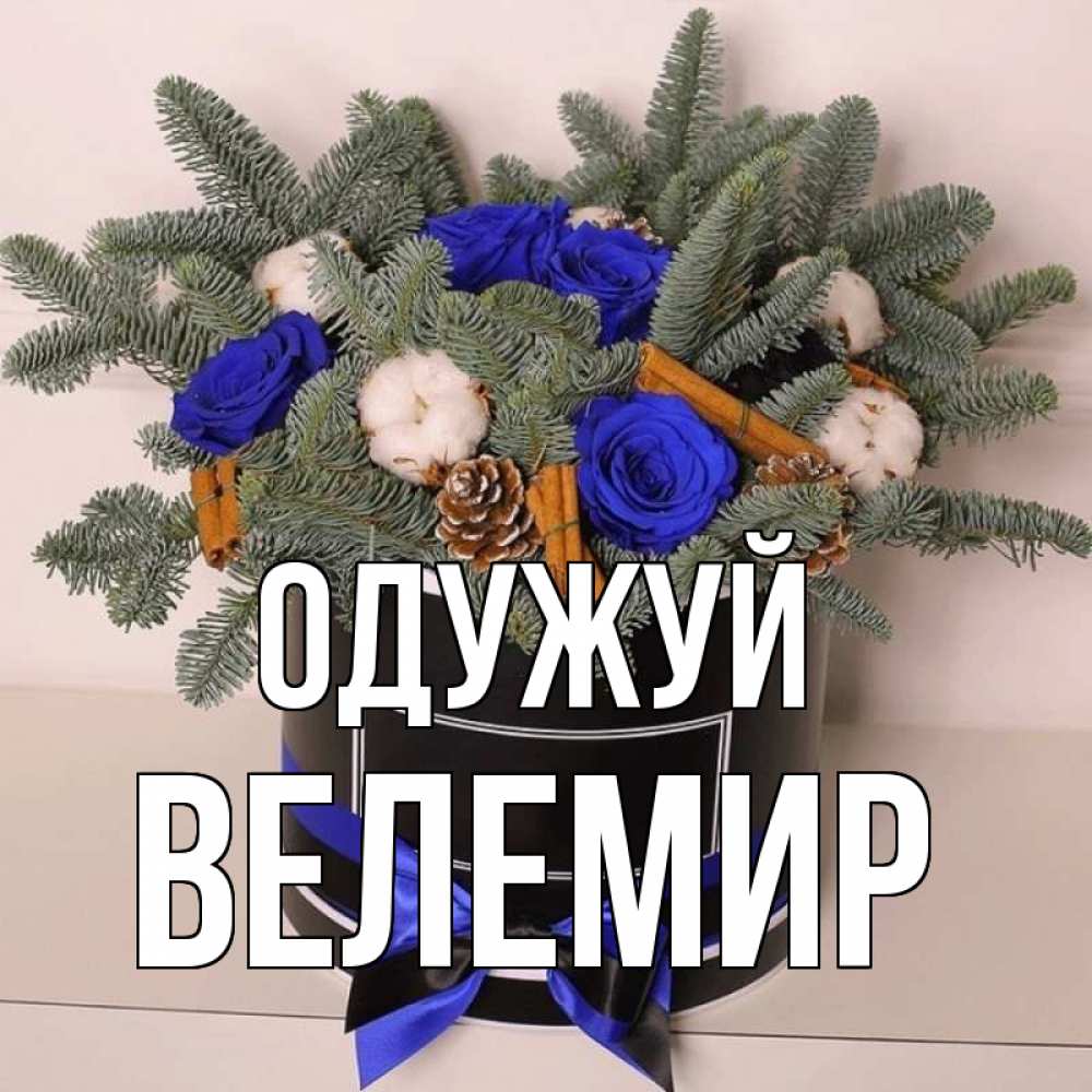 Открытка на каждый день з підписом, Велемир Одужуй короче кто то загрузил эти шишки Прикольна листівка з побажанням онлайн скачати безкоштовно 