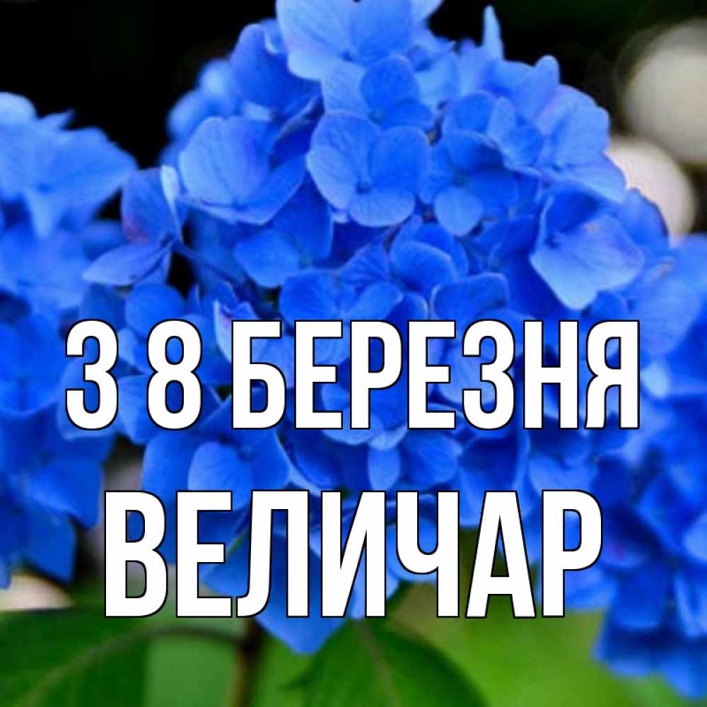Открытка на каждый день з підписом, Величар З 8 БЕРЕЗНЯ синие цветы Прикольна листівка з побажанням онлайн скачати безкоштовно 