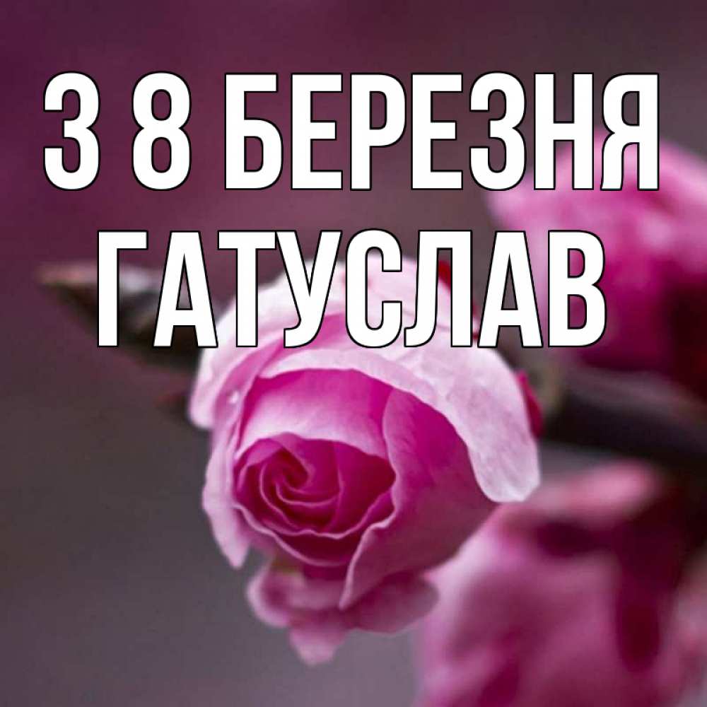 Открытка на каждый день з підписом, Гатуслав З 8 БЕРЕЗНЯ весна Прикольна листівка з побажанням онлайн скачати безкоштовно 