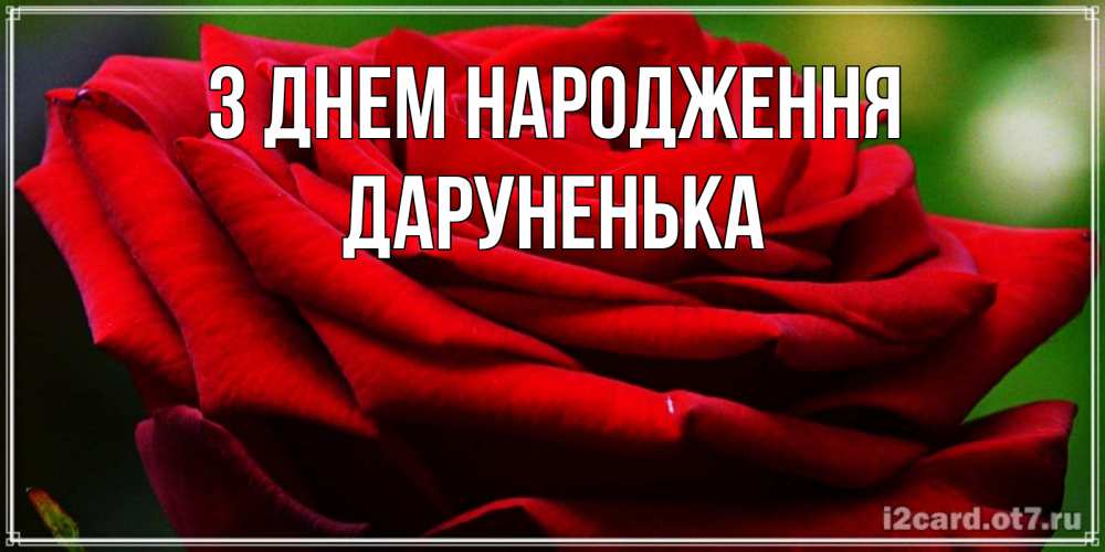 Открытка на каждый день з підписом, Даруненька З Днем народження розочка очень красивая Прикольна листівка з побажанням онлайн скачати безкоштовно 