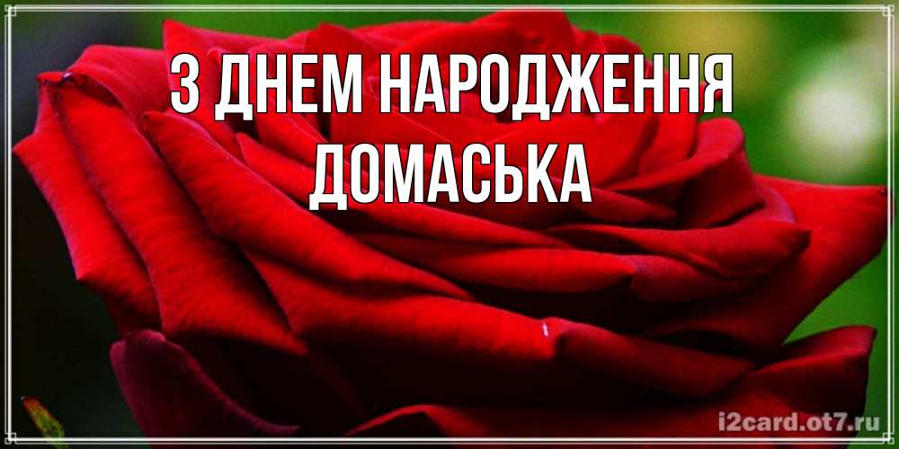 Открытка на каждый день з підписом, Домаська З Днем народження розочка очень красивая Прикольна листівка з побажанням онлайн скачати безкоштовно 