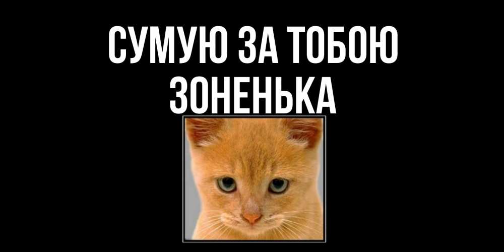 Открытка на каждый день з підписом, Зоненька Сумую за тобою открытки рыжий котенок скучает по тебе Прикольна листівка з побажанням онлайн скачати безкоштовно 