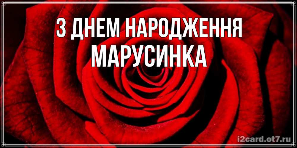 Открытка на каждый день з підписом, Марусинка З Днем народження алая роза Прикольна листівка з побажанням онлайн скачати безкоштовно 