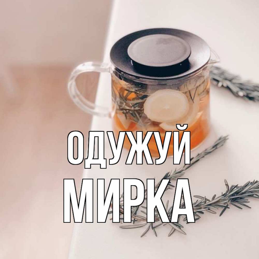 Открытка на каждый день з підписом, Мирка Одужуй ну вы там держитесь Прикольна листівка з побажанням онлайн скачати безкоштовно 