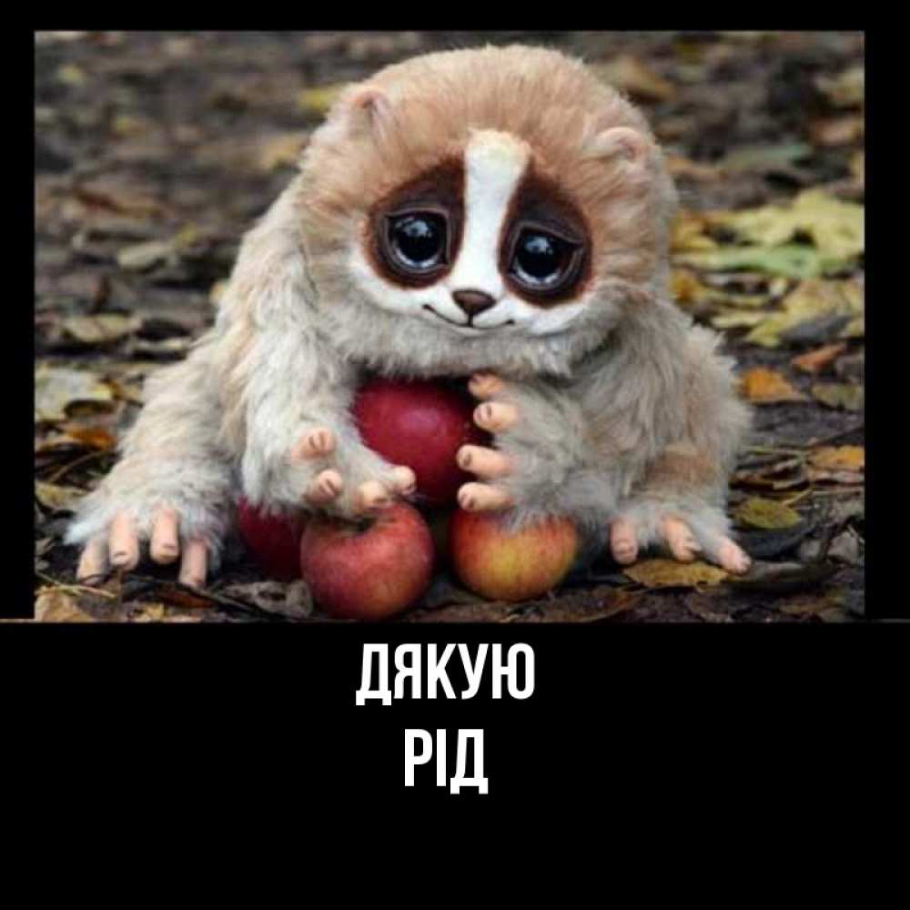 Открытка на каждый день з підписом, Рід Дякую прикольное животное Прикольна листівка з побажанням онлайн скачати безкоштовно 