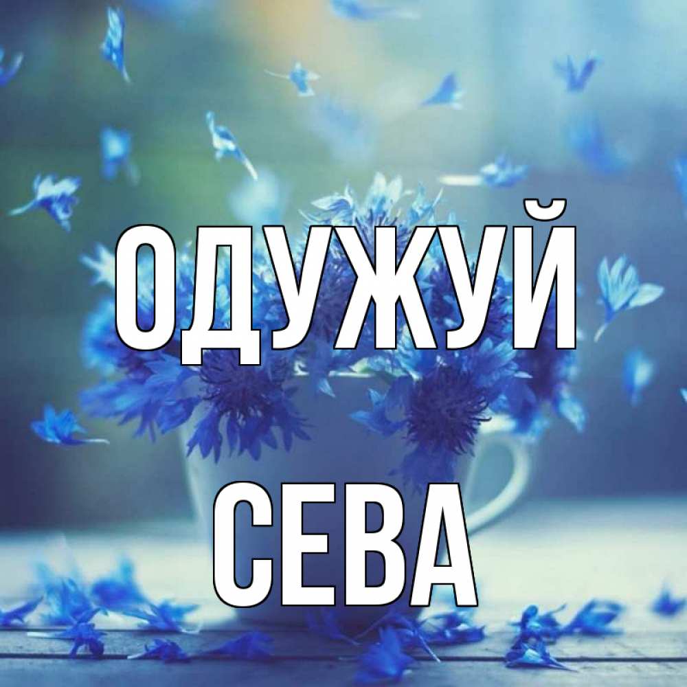 Открытка на каждый день з підписом, Сева Одужуй кружка с зельем и цветами Прикольна листівка з побажанням онлайн скачати безкоштовно 