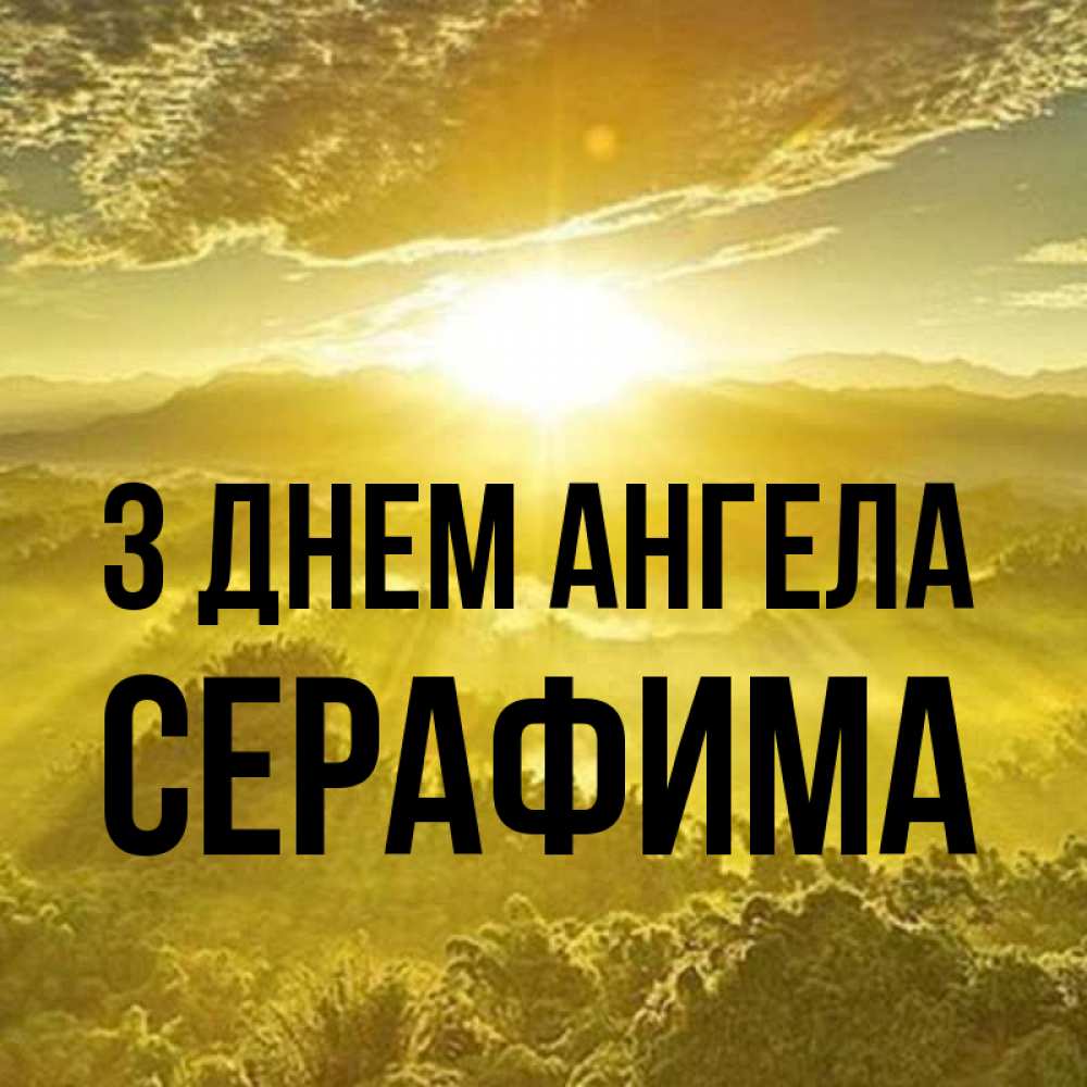 Открытка на каждый день з підписом, Серафима З Днем ангела леса и небо в желтом Прикольна листівка з побажанням онлайн скачати безкоштовно 