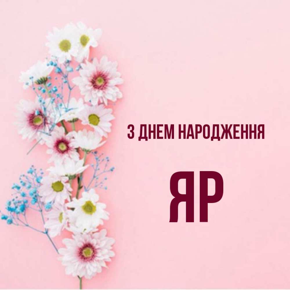 Открытка на каждый день з підписом, Яр З Днем народження Родная моя с днем рождения тебя картинка с цветами белыми и голубыми Прикольна листівка з побажанням онлайн скачати безкоштовно 