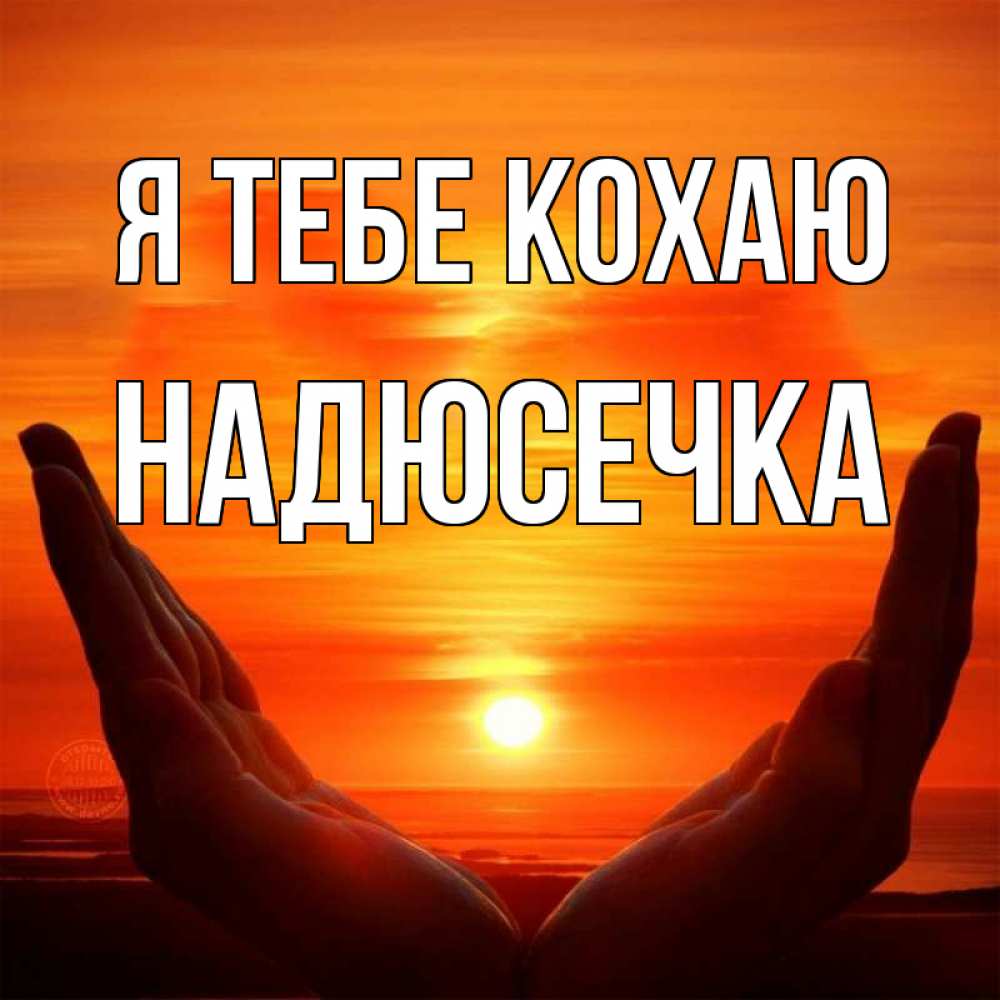 Открытка на каждый день з підписом, Надюсечка Я тебе кохаю в руках Прикольна листівка з побажанням онлайн скачати безкоштовно 