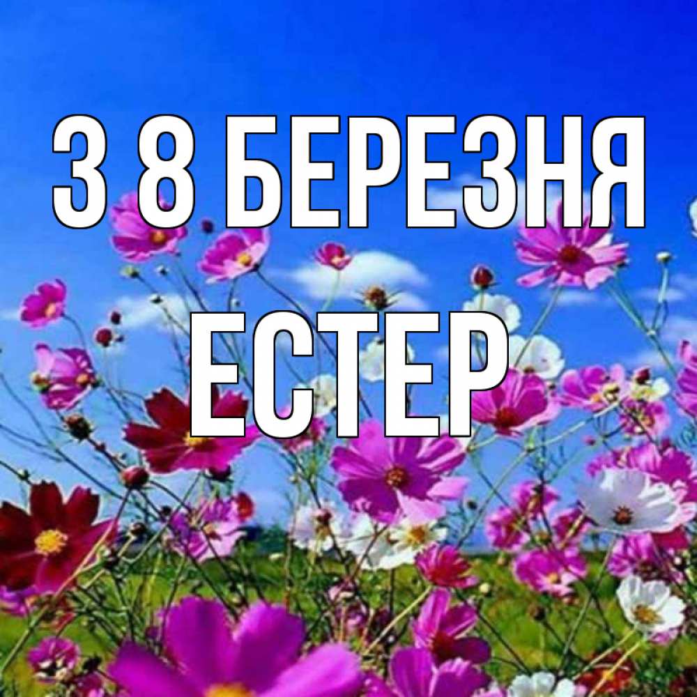 Открытка на каждый день з підписом, Естер З 8 БЕРЕЗНЯ цветы Прикольна листівка з побажанням онлайн скачати безкоштовно 