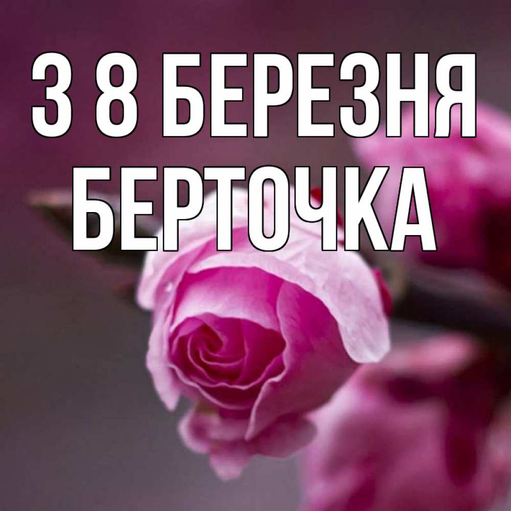 Открытка на каждый день з підписом, Берточка З 8 БЕРЕЗНЯ весна Прикольна листівка з побажанням онлайн скачати безкоштовно 
