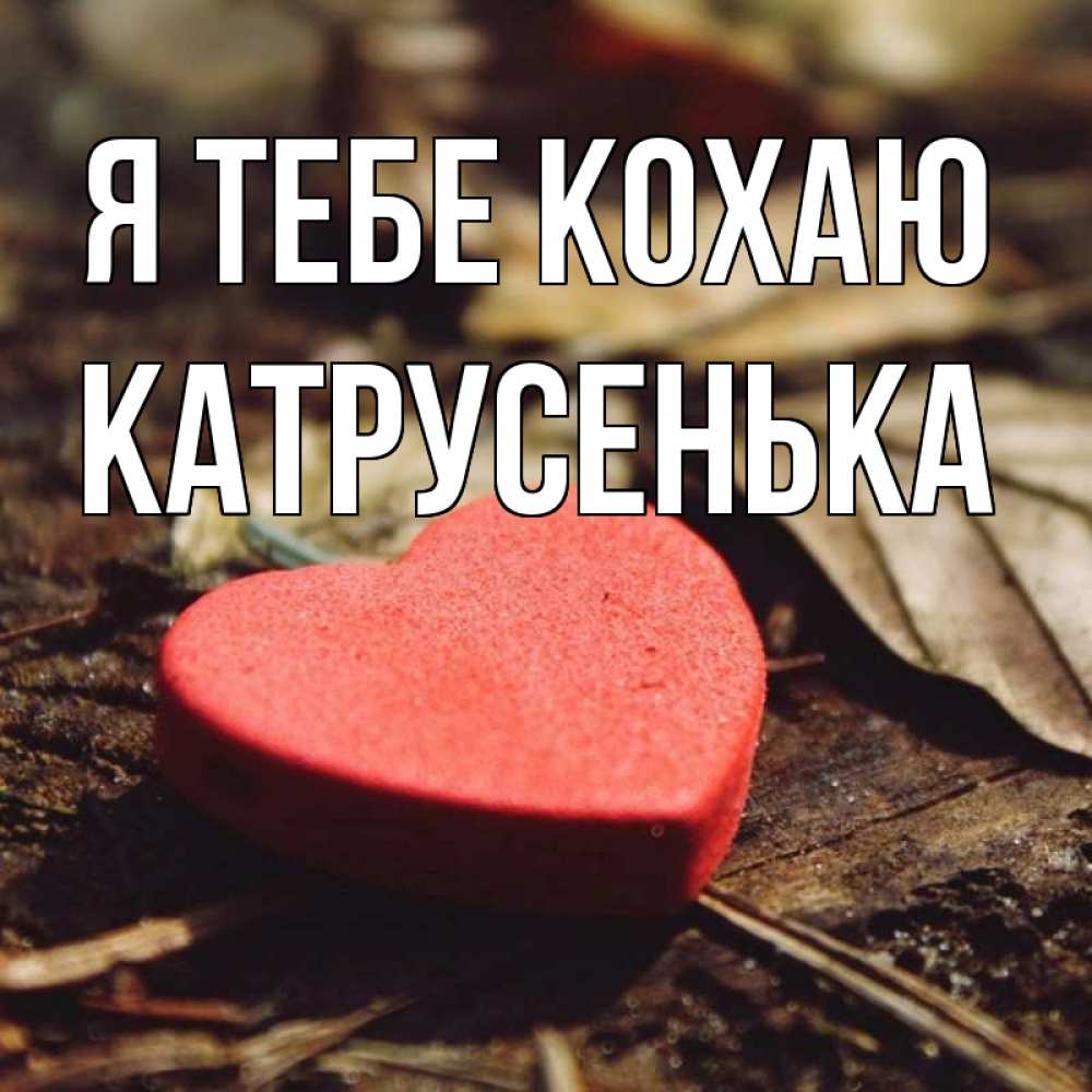 Открытка на каждый день з підписом, Катрусенька Я тебе кохаю листья деревье 4 Прикольна листівка з побажанням онлайн скачати безкоштовно 