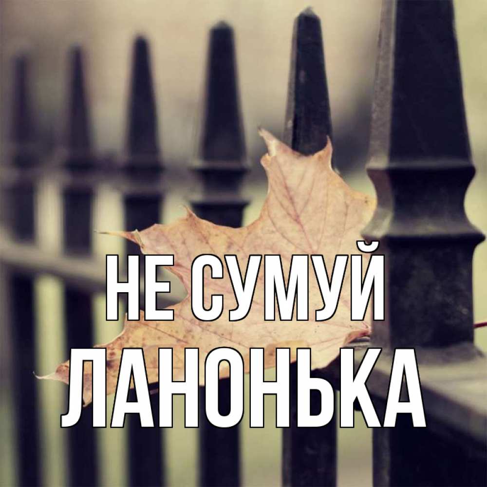 Открытка на каждый день з підписом, Ланонька Не сумуй лист клена Прикольна листівка з побажанням онлайн скачати безкоштовно 