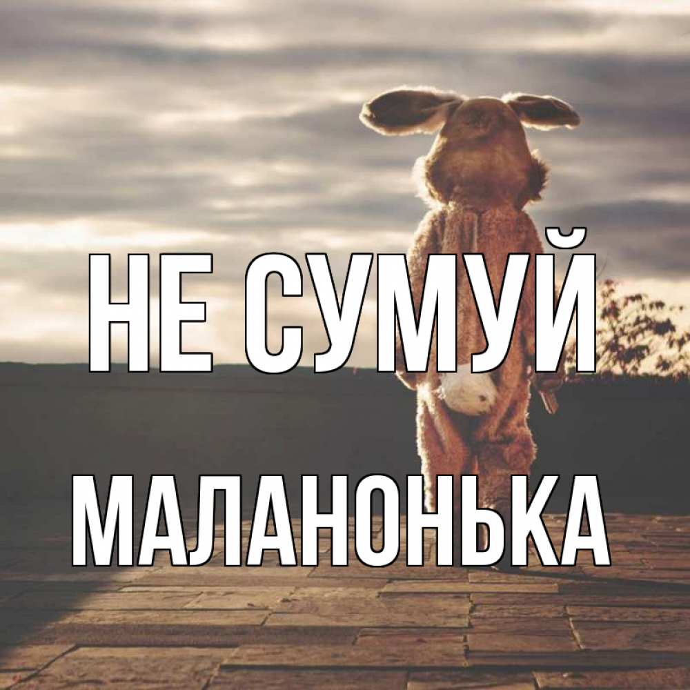 Открытка на каждый день з підписом, Маланонька Не сумуй со спины Прикольна листівка з побажанням онлайн скачати безкоштовно 