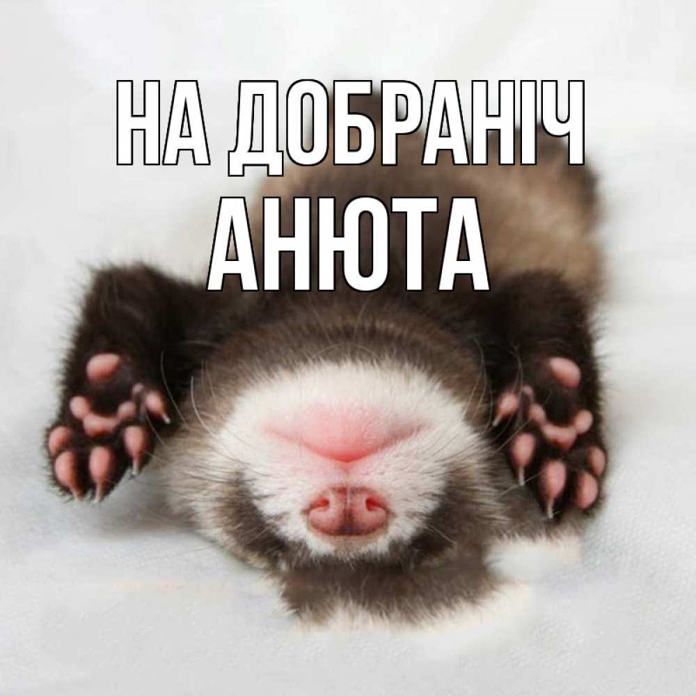 Открытка на каждый день з підписом, Анюта На добраніч зверек Прикольна листівка з побажанням онлайн скачати безкоштовно 