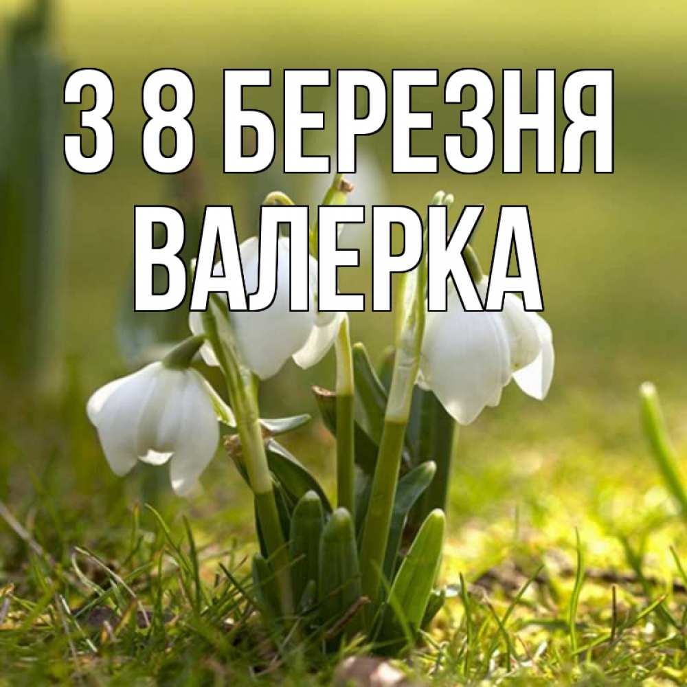 Открытка на каждый день з підписом, Валерка З 8 БЕРЕЗНЯ ранние цветы 2 Прикольна листівка з побажанням онлайн скачати безкоштовно 