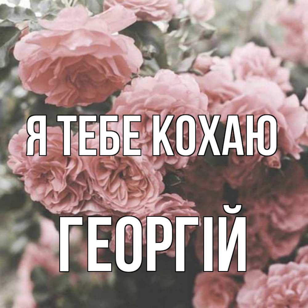 Открытка на каждый день з підписом, Георгій Я тебе кохаю розы 3 Прикольна листівка з побажанням онлайн скачати безкоштовно 