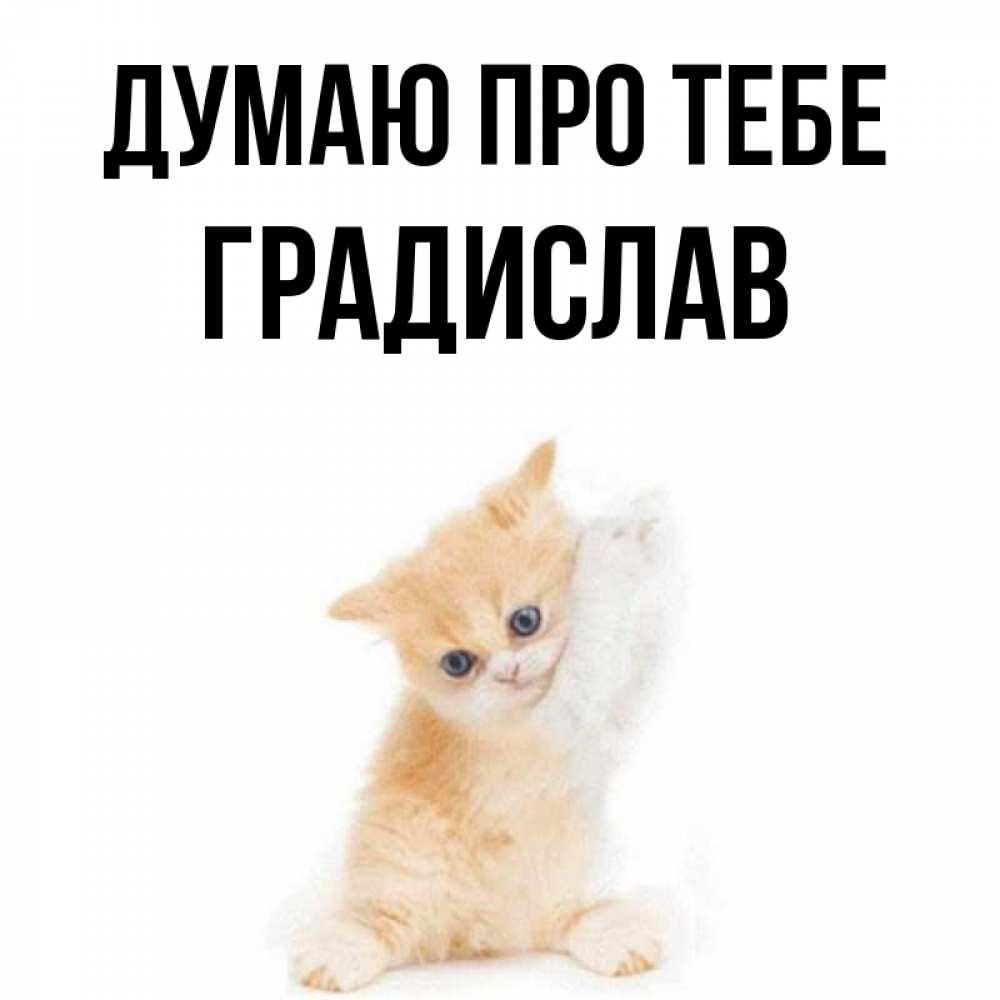 Открытка на каждый день з підписом, Градислав Думаю про тебе зверушки и милота Прикольна листівка з побажанням онлайн скачати безкоштовно 