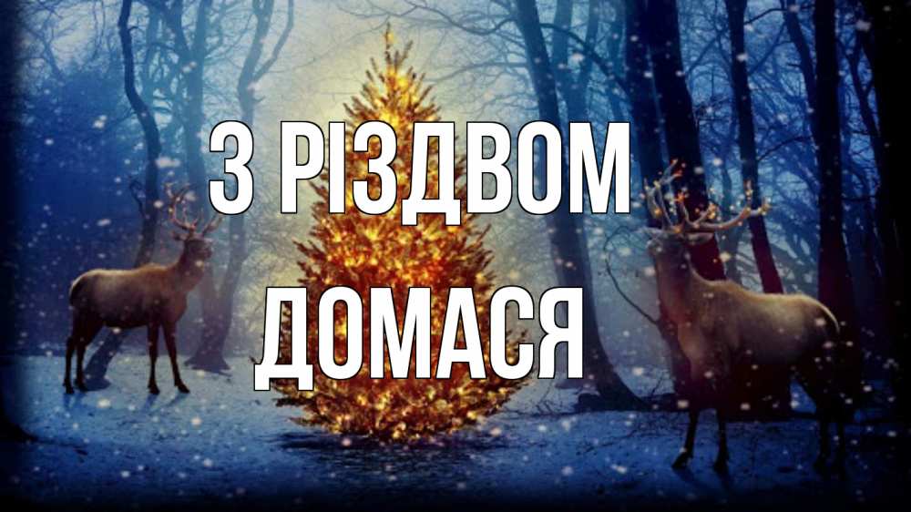 Открытка на каждый день з підписом, Домася З Різдвом олени, новогодняя елка Прикольна листівка з побажанням онлайн скачати безкоштовно 