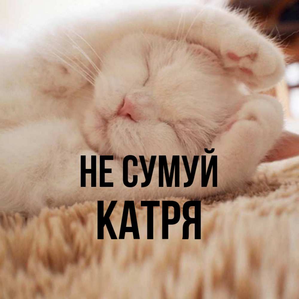 Открытка на каждый день з підписом, Катря Не сумуй Котенок спит Прикольна листівка з побажанням онлайн скачати безкоштовно 