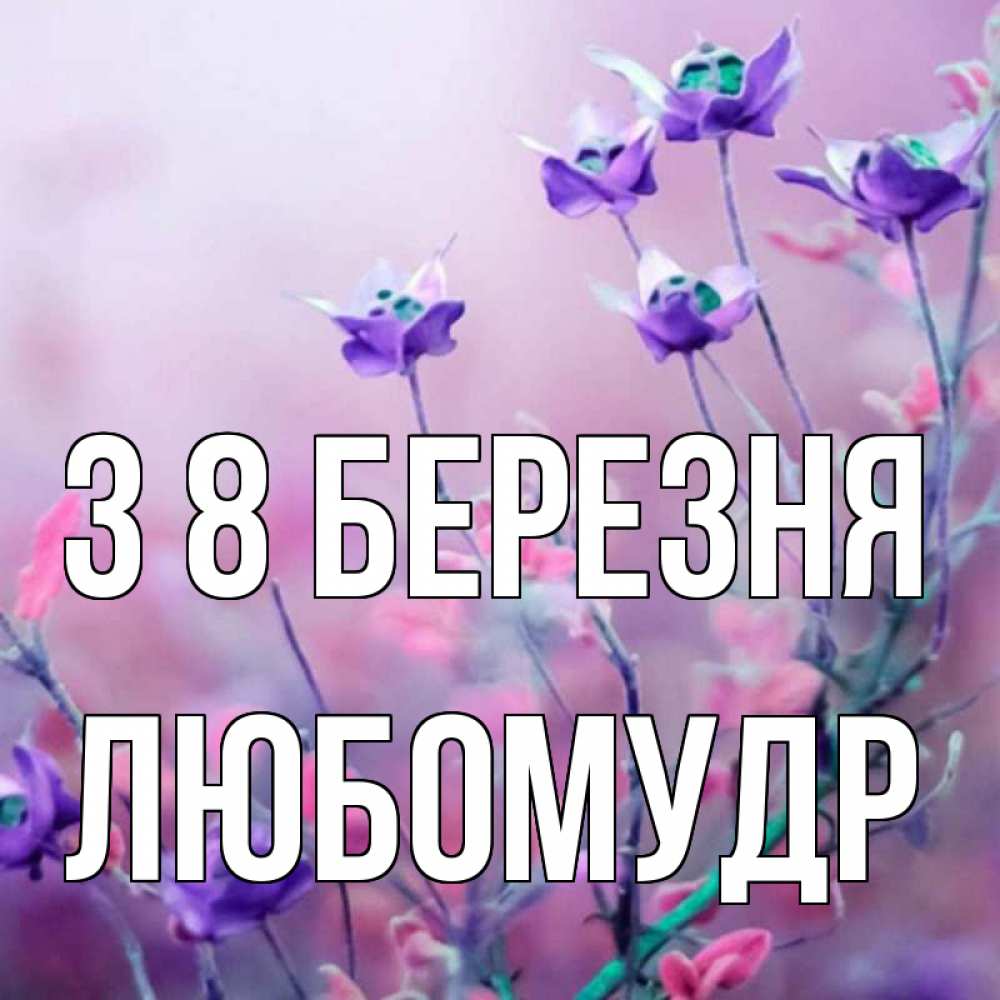 Открытка на каждый день з підписом, Любомудр З 8 БЕРЕЗНЯ международный женский день 2 Прикольна листівка з побажанням онлайн скачати безкоштовно 