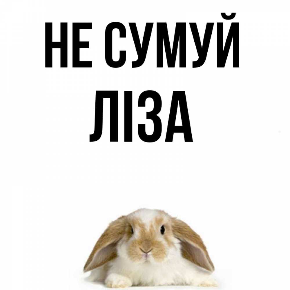 Открытка на каждый день з підписом, Ліза Не сумуй коричнево белый заяц с большими ушками Прикольна листівка з побажанням онлайн скачати безкоштовно 