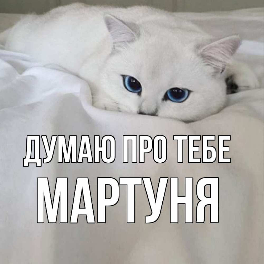 Открытка на каждый день з підписом, Мартуня Думаю про тебе я очень по тебе скучаю и тоскую Прикольна листівка з побажанням онлайн скачати безкоштовно 