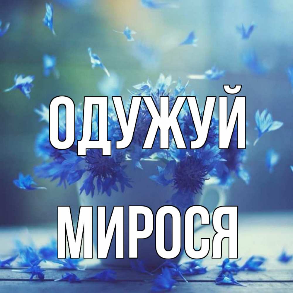 Открытка на каждый день з підписом, Мирося Одужуй кружка с зельем и цветами Прикольна листівка з побажанням онлайн скачати безкоштовно 