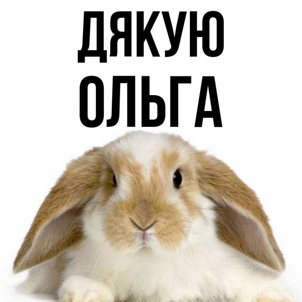 Открытка на каждый день з підписом, Ольга Дякую коричнево белый заяц Прикольна листівка з побажанням онлайн скачати безкоштовно 