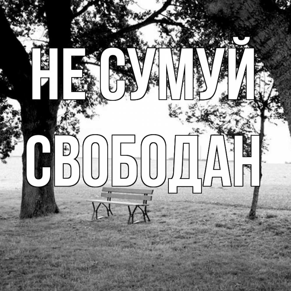 Открытка на каждый день з підписом, Свободан Не сумуй мощное дерево Прикольна листівка з побажанням онлайн скачати безкоштовно 