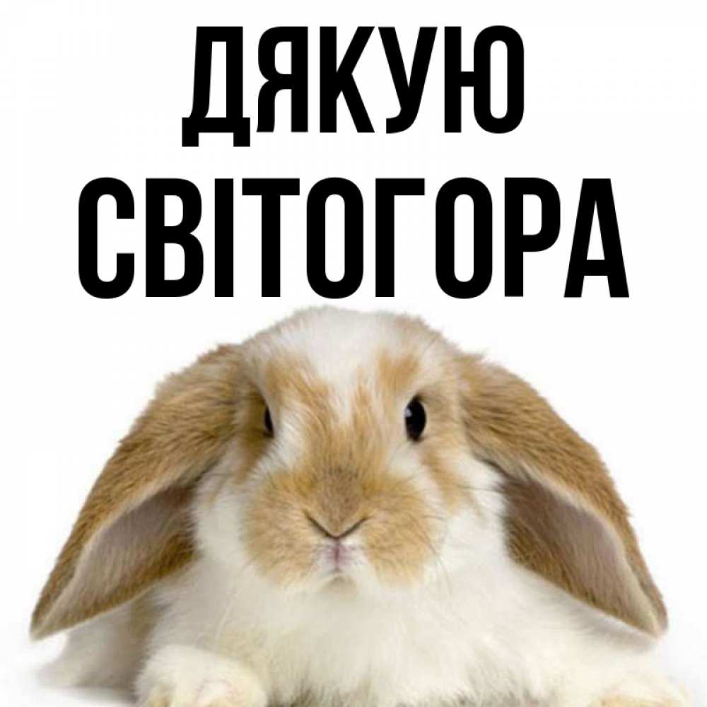 Открытка на каждый день з підписом, Світогора Дякую коричнево белый заяц Прикольна листівка з побажанням онлайн скачати безкоштовно 