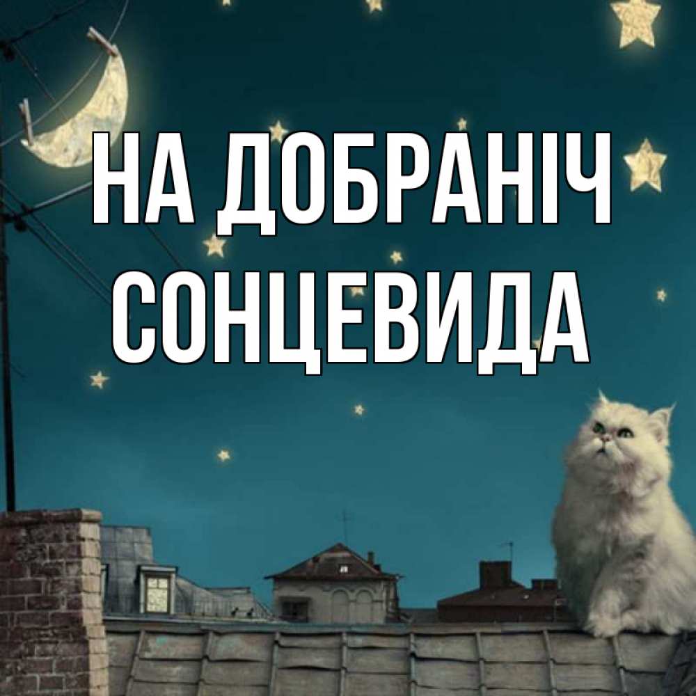 Открытка на каждый день з підписом, Сонцевида На добраніч белый кот сидит на крыше Прикольна листівка з побажанням онлайн скачати безкоштовно 