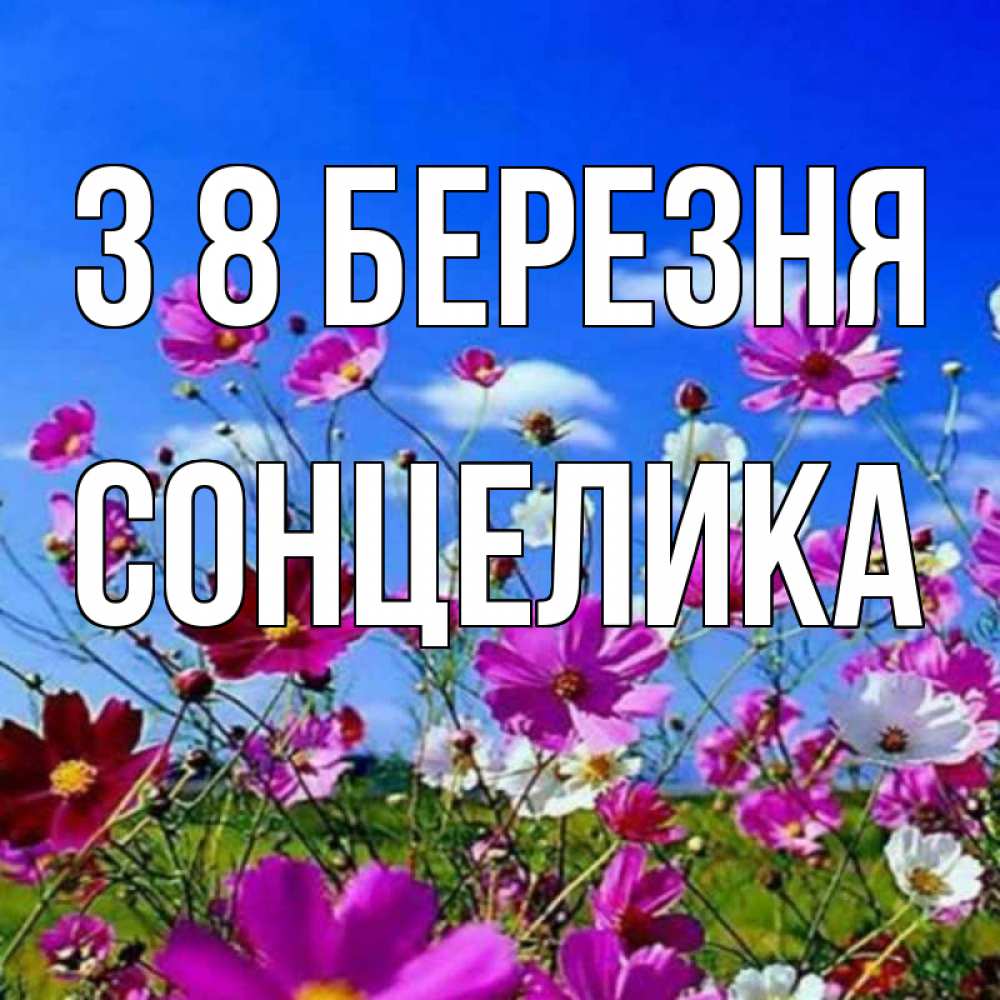 Открытка на каждый день з підписом, Сонцелика З 8 БЕРЕЗНЯ цветы Прикольна листівка з побажанням онлайн скачати безкоштовно 