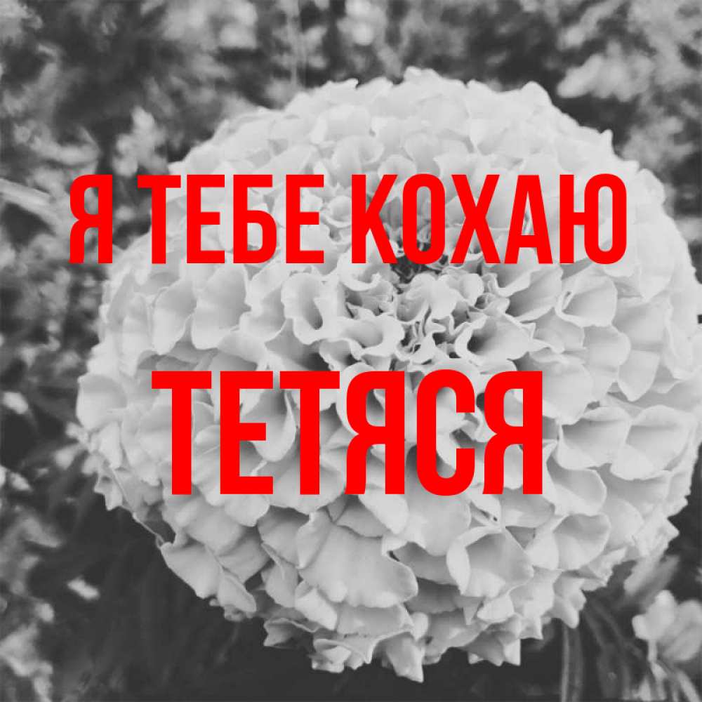 Открытка на каждый день з підписом, Тетяся Я тебе кохаю подпись Прикольна листівка з побажанням онлайн скачати безкоштовно 