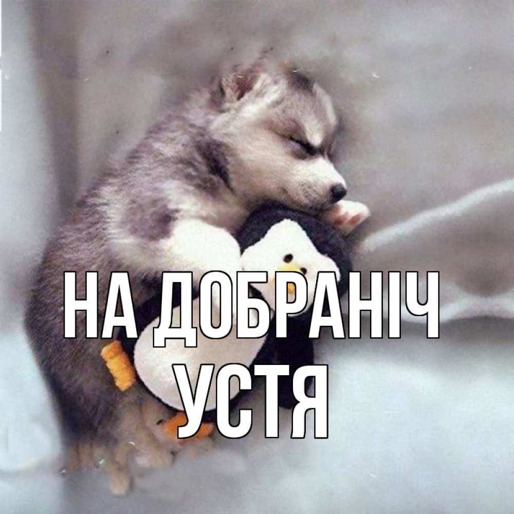 Открытка на каждый день з підписом, Устя На добраніч обнимашки щенка и пингвина Прикольна листівка з побажанням онлайн скачати безкоштовно 