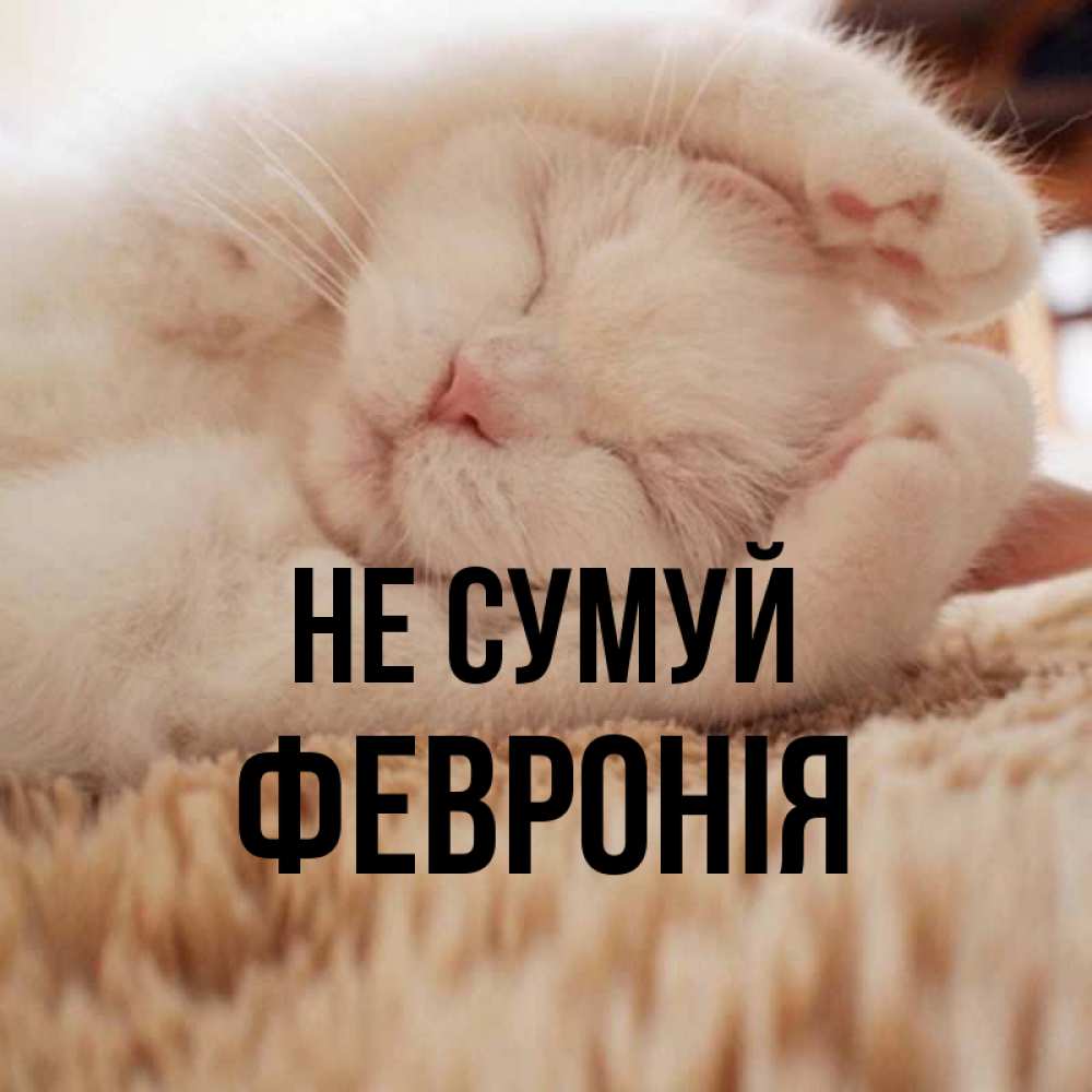 Открытка на каждый день з підписом, Февронія Не сумуй Котенок спит Прикольна листівка з побажанням онлайн скачати безкоштовно 